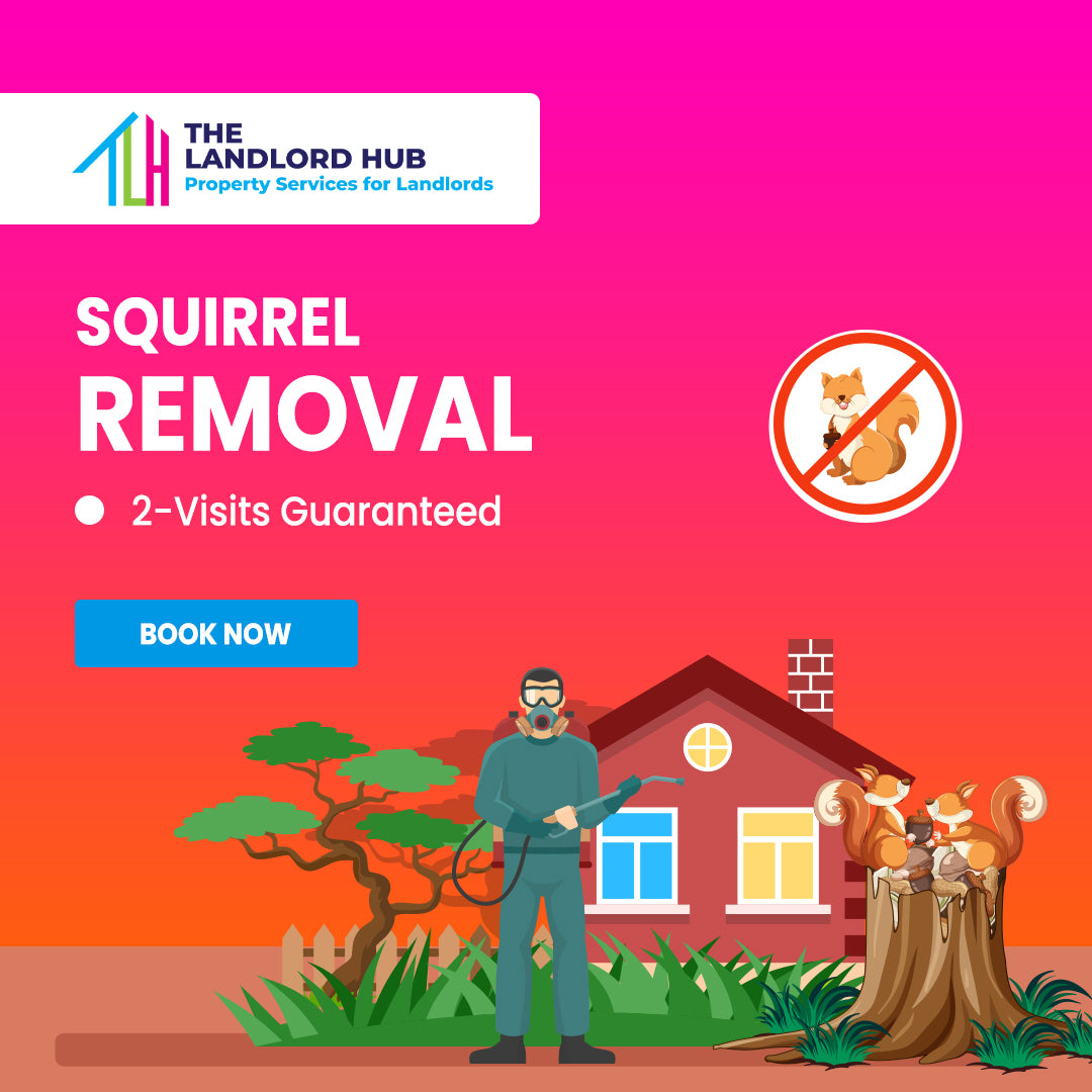 Squirrel Removal – Humane & Professional Service (2 Visits)
