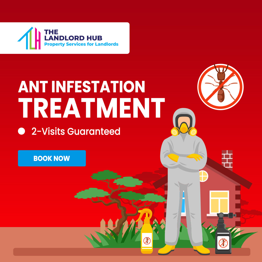 Ant Treatment – Professional Eradication Service (2 Visits)