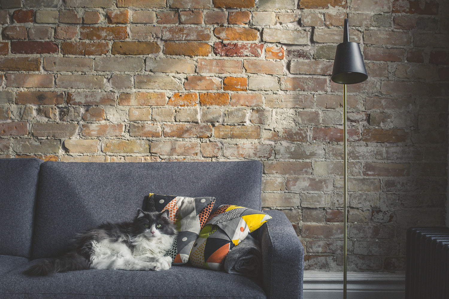 Cat lying on blue sofa next to bare brick wall