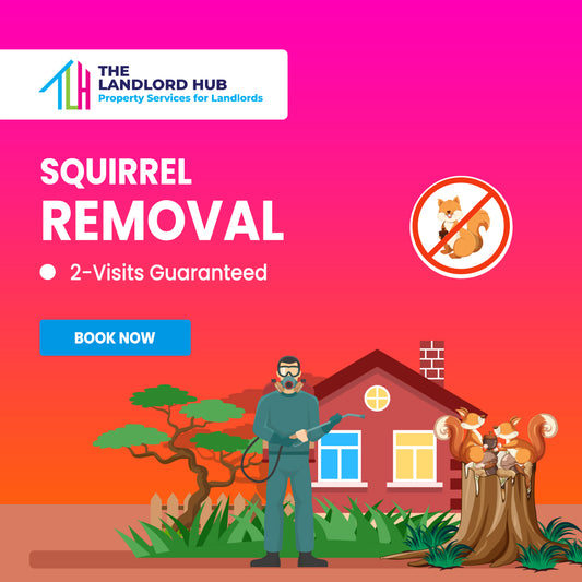 Squirrel Removal – Humane & Professional Service (2 Visits)