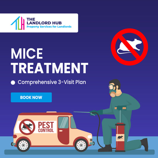 Mice Treatment – Long-Lasting Infestation Prevention (3 Visits)