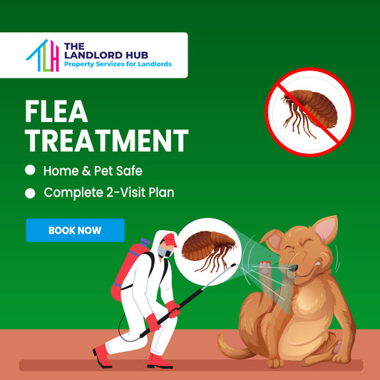 Flea Treatment – Safe & Reliable Home Protection (2 Visits)